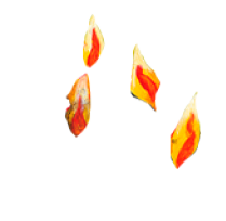 plamen1